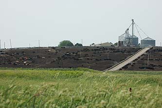 Feedlot